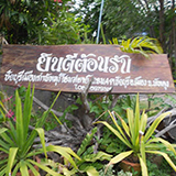 ชัยบุรีเมืองเก่าพัทลุง โฮมสเตย์