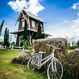 เคียงหมอกชาเลต์ วังน้ำเขียว นครราชสีมา