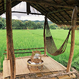 ศรีนาม่าน Srinaman อ.สันติสุข จ.น่าน