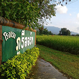 โรงแรมภูรีสอร์ท อ.ปัว น่าน