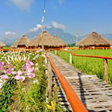 At Piangdao Homestay แอท เพียงดาว โฮมสเตย์
