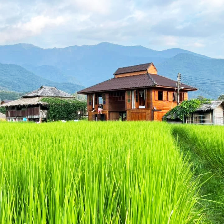 โรงเรียนชาวนาตำบลศิลาเพชร (Farmstay farmerschool) อ.ปัว น่าน