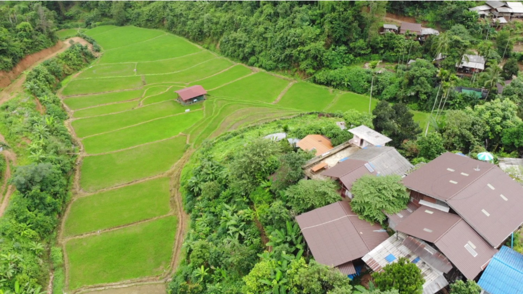 บ้านห้วยห้อม อ.ขุนตาล